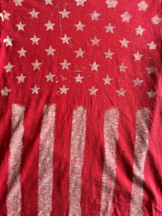 Ralph Lauren Denim & Supply American Flag Tee